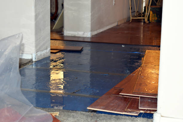 Professional Water Damage Restoration technician working in Tecumseh, OK