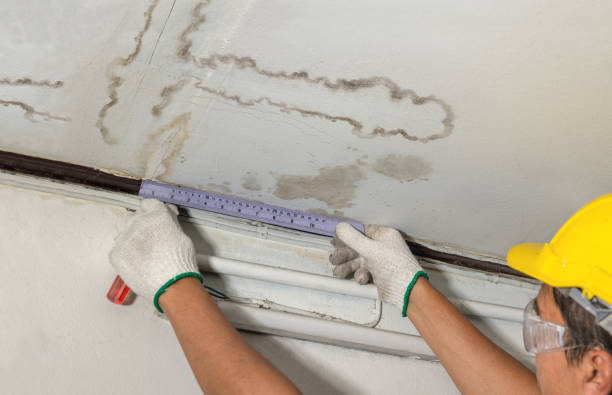 Reliable Water Damage Restoration contractor in Tecumseh, OK by Water Damage Irwin